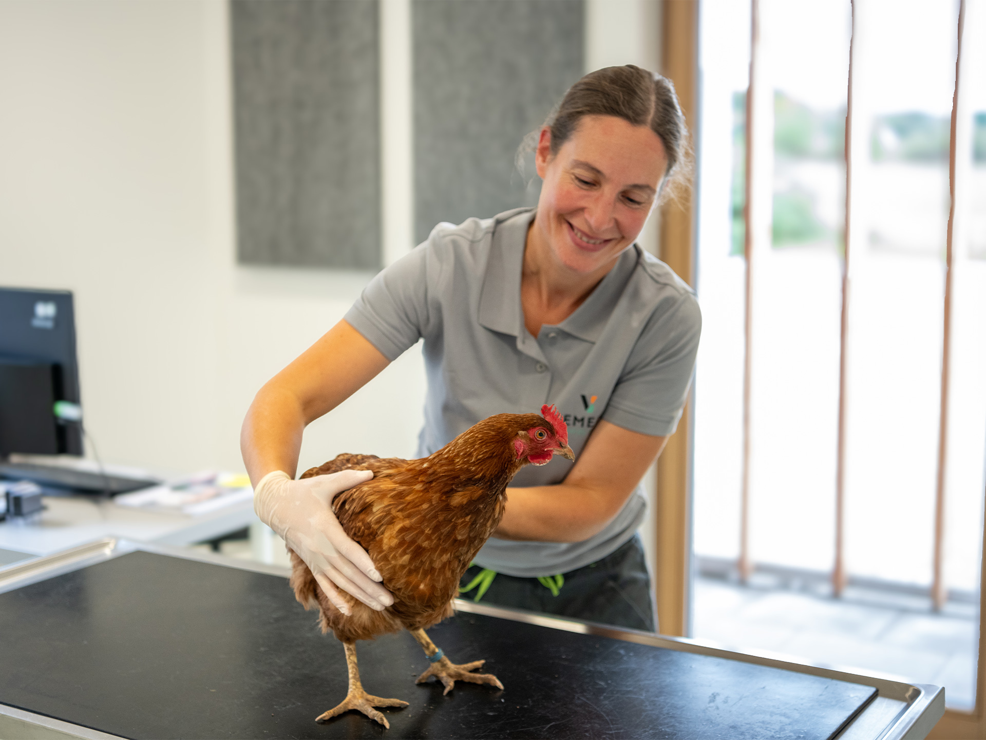 Tierärztin hält ein Huhn auf dem Behandlungstisch